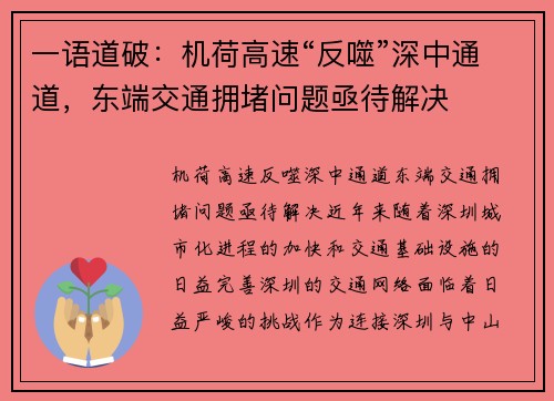 一语道破：机荷高速“反噬”深中通道，东端交通拥堵问题亟待解决